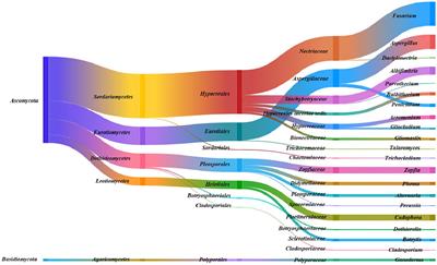 Culture-based diversity of endophytic fungi of three species of Ferula grown in Iran
